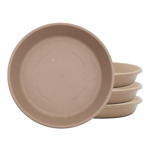 The HC Companies SLI06000A34T036LREFC Platillo Redondo... - Nouvelle promo Amazon à 13.78€