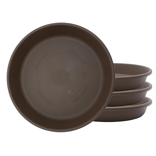 The HC Companies SLI10000E21T032LREGA Platillo Redondo... - Home & Kitchen Amazon Spain à 10.21€