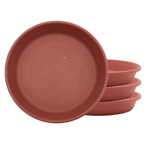 The HC Companies SLI08000E35T056LREFR Classic Round Plastic... - Maison & Cuisine Amazon Royaume-Uni à 5.68€