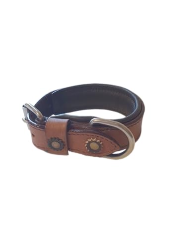 Dog Collar Halsband XL 17-23 Inches - Animalerie Amazon Allemagne à 16.97€