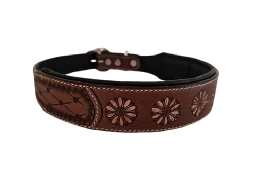 Dog Collar Halsband M 13-17 Inches - Animalerie en promo à 13.00€