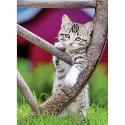 Ravensburger 12000232 - Kittens - Jigsaw Puzzle 2x500... - Bricolage & Outils Amazon Royaume-Uni à 12.46€