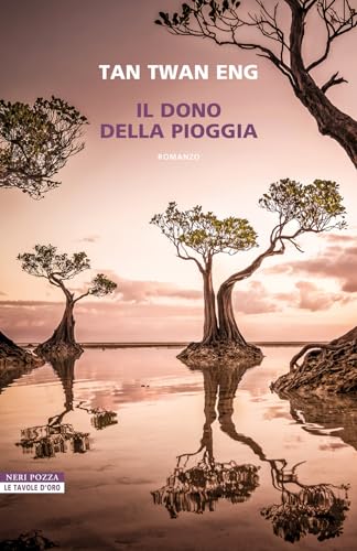 Il dono della pioggia (Italian Edition) - Amazon Allemagne à 2.99€