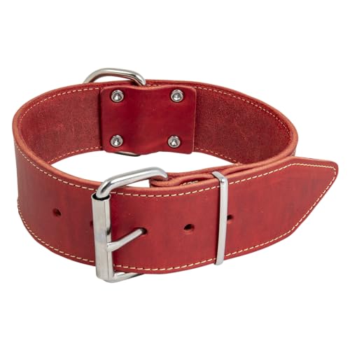 JACK AND VANILLA, Large Dog Collar, Fat Leather, Red, Size... - Animalerie Amazon Royaume-Uni à 9.62€
