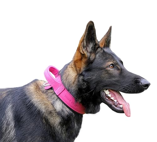 DINGO GEAR Drago Leather Dog Collar, Amortized with Strong... - Animalerie en promo à 25.04€
