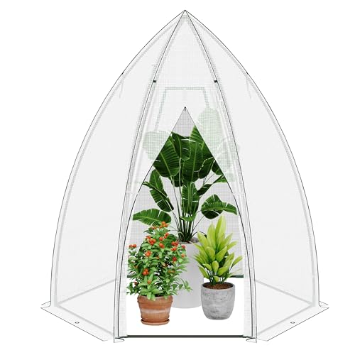 Ribelli Serre en film plastique avec porte - 160 x 180 cm... - Jardin & Extérieur Amazon France à 46.38€