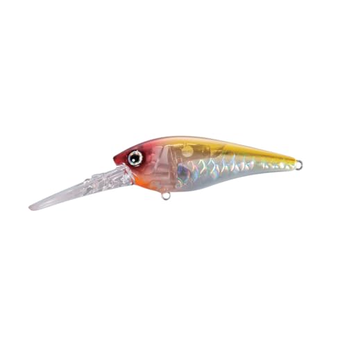 BT WorldCrank AR-C Flash Boost 64mm 17g 003 Kyorin CW - Amazon Italie à 10.63€