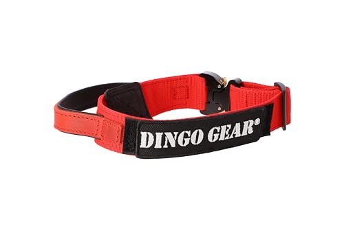 DINGO GEAR Cobra Dog Collar with Professional Safety... - Animalerie Amazon Royaume-Uni à 30.87€