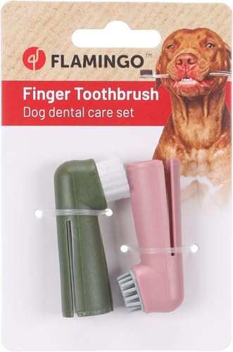 Flamingo Finger Toothbrush Teeth Pink/Green – 1.8 x 2.5 x 6... - Beauty & Fragrances Amazon Spain à 3.29€