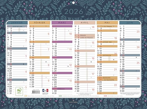 Exacompta 34453E - Calendrier semestriel Mini Labo - 17 x... - Fournitures Bureau en promo à 1.99€