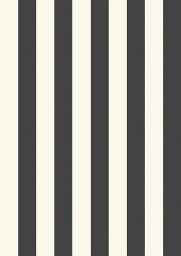 SCHÖNER WOHNEN-Kollektion Fototapete XXL STRIPE 366662 mit... - Animalerie Amazon Allemagne à 65.59€