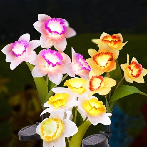 IUEECEN Luci solari da giardino – Fiori solari, confezione... - Jardin & Extérieur Amazon Italie à 63.34€