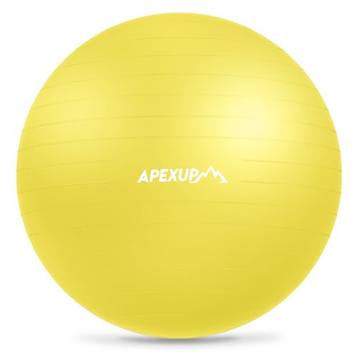 APEXUP Pelota de yoga para ejercicio, silla antideslizante... - Sports & Fitness Amazon Espagne à 62.31€