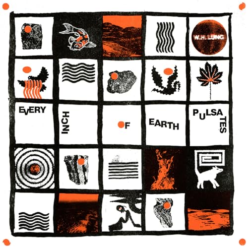 EVERY INCH OF EARTH PULSATES - Amazon Espagne à 9.84€