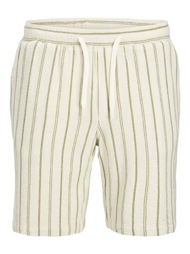 JACK & JONES Jpstjaiden Coba Stripe Jog Short SRT Sn, Vert... en promo à 17,66€ (-51%) sur Amazon FR