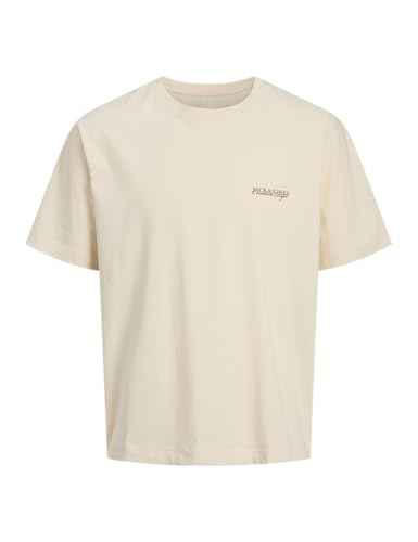 JACK & JONES Jorboston Photo Tee Ss Crew Neck - Fashion & Clothing Amazon Germany à 5.27€