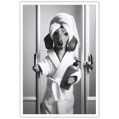 ADRHGCY Funny Cute Dachshund Posters Petshop Humor Dog Wall... - Animalerie Amazon Royaume-Uni à 1.88€
