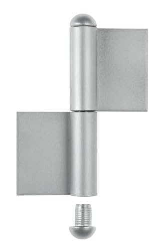 Alberts 866891 Cinta de construcción, Plata - Amazon Espagne à 28.38€