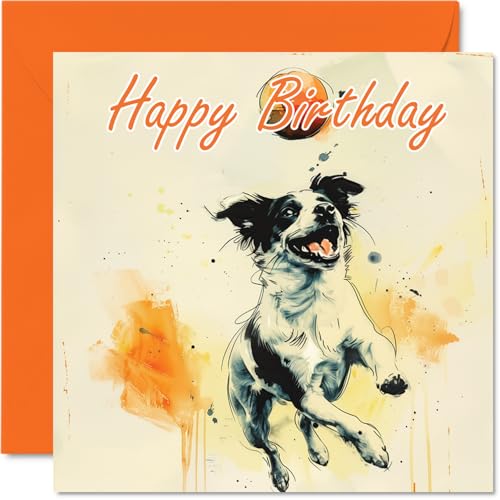 Tarjetas de cumpleaños para mujeres y hombres, perro de... - Auto & Motorcycle Amazon Spain à 8.68€