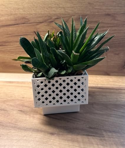 Kimmel Planter, White, 11 cm - Garden & Outdoor Amazon UK à 2.76€