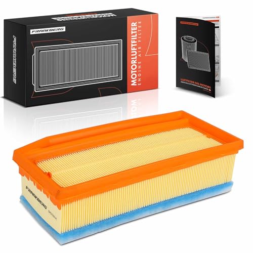 Frankberg Filtro aria Cartuccia filtrante Compatibile con... - Auto & Moto Amazon Italie à 15.77€