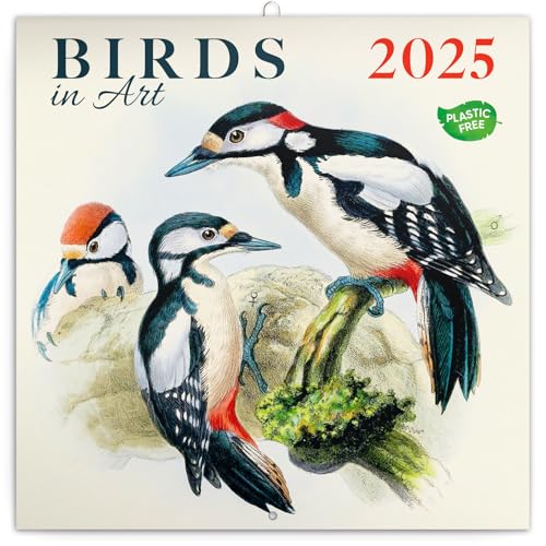 Calendar 2024-2025, Birds Wall Calendar, Monthly Calendar... - Amazon Royaume-Uni à 5.76€