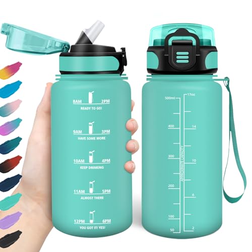 HoneyHolly Gourde Paille, Gourde 500ml, sans BPA &... en promo à 8,24€ (-45%) sur Amazon FR