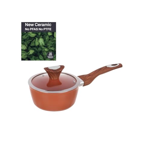 Cazuela de un asa de 16 cm con tapa salmón New Ceramic - High-Tech & Électronique Amazon Espagne à 11.79€