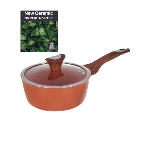 Cazuela de un asa de 20 cm con tapa salmón New Ceramic - High-Tech & Électronique Amazon Espagne à 12.59€