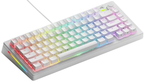 GLORIOUS Gaming GMMK 3 anpassat mekaniskt gamingtangentbord... - High-Tech & Électronique Amazon Espagne à 64.82€