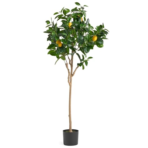 Leaf Design UK Künstlicher Zitronenbaum, schwarzer... - Amazon Germany à 21.97€