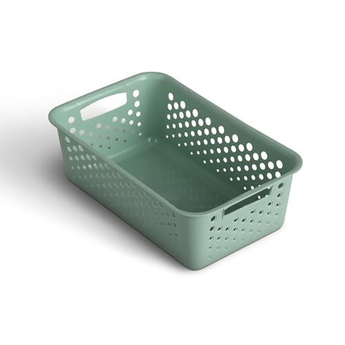 Panier de rangement de 2 l, avec poignées, sans BPA... - Maison & Cuisine Amazon France à 2.29€