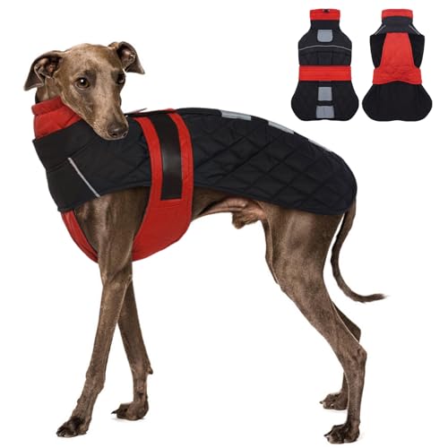 MORVIGIVE Whippet Hundemantel – Rot, für kleine Hunde... - Animalerie Amazon Allemagne à 10.63€