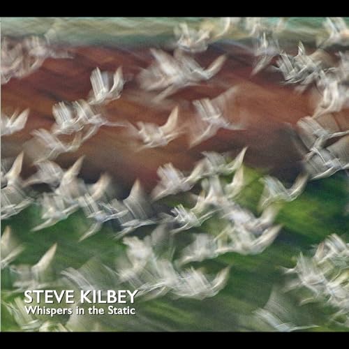 Whispers In The Static - Bon plan à 4.27€