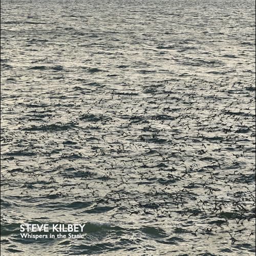 Whispers in the Static/Grey Vinyl/CD Inclus en promo à 23,42€ (-52%) sur Amazon FR