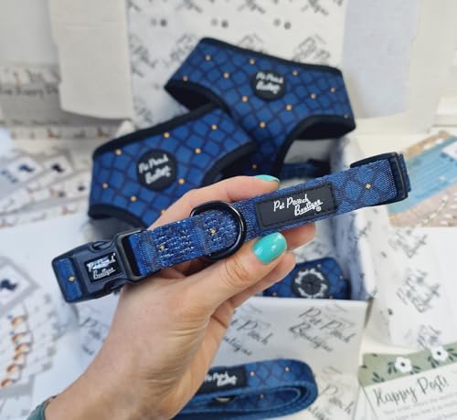 Collar de Perro Diamond In The Ruff XS - Animalerie en promo à 11.05€