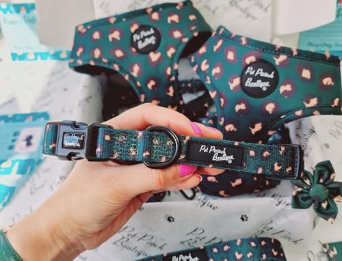 Emerald Green Leopard Dog Collar XS - Animalerie Amazon Royaume-Uni à 3.56€