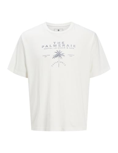 JACK & JONES Jprbluphillip SS Tee, Cloud Dancer, L - DIY & Tools Amazon UK à 6.66€
