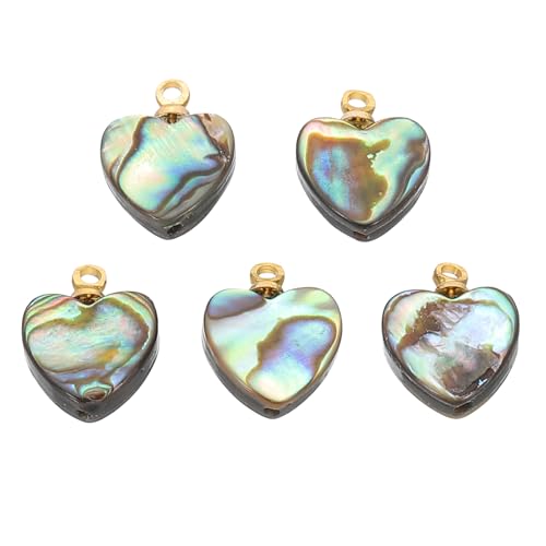 PATIKIL Charme Coquillage Abalone, 5 Pcs Pendentif en... - High-Tech & Électronique en promo à 6.99€