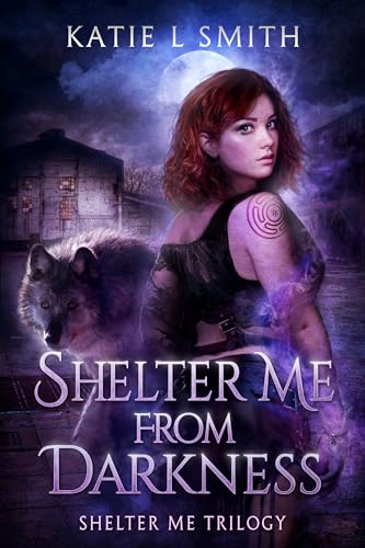 Shelter Me From Darkness (Shelter Me Trilogy Book 1) - Amazon Royaume-Uni à 0.99€