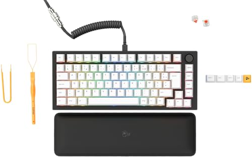 GLORIOUS Gaming GMMK Pro 75% - Clavier de Jeu mécanique... - Tech & Electronics Amazon France à 182.38€