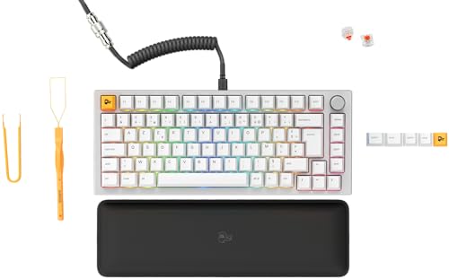 GLORIOUS Gaming GMMK Pro 75% - Clavier de Jeu mécanique... - Tech & Electronics Amazon France à 199.99€