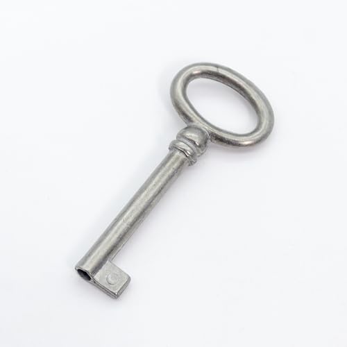 CHIAVE UNIVERSALE PER MOBILI IN ARGENTO ANTICATO PASSO... - Animalerie Amazon Italie à 1.49€