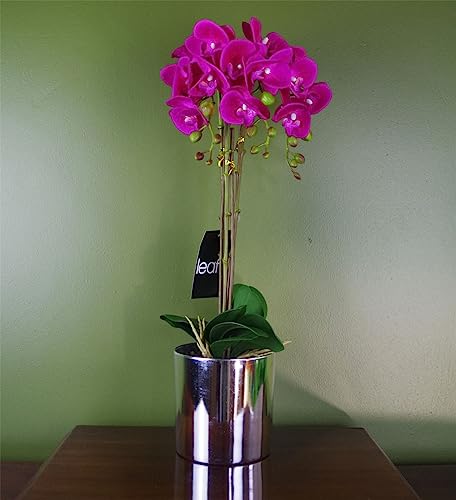 Realistic Artificial Orchid Plants Fully Potted - Garden & Outdoor Amazon UK à 17.99€