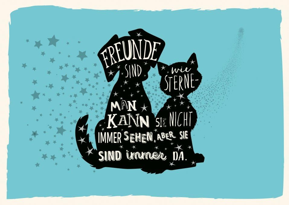 Gutsch Verlag Freundschaftskarte Hund & Katze: Freunde sind... - Animalerie Amazon Allemagne à 1.30€
