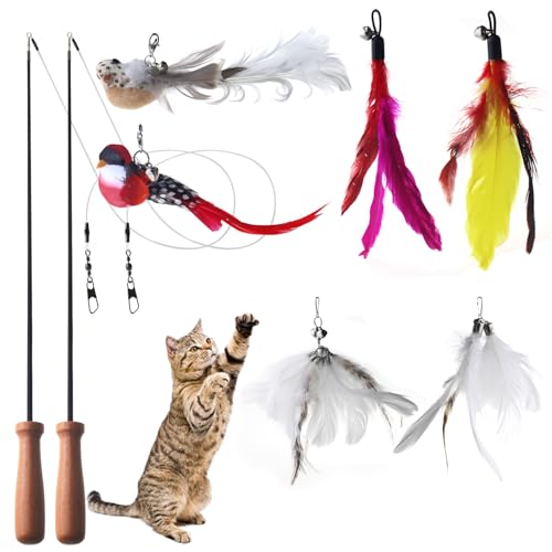 NANEEZOO Giocattolo interattivo per gatti – Giocattolo per... - Jouets & Jeux Amazon Italie à 12.13€