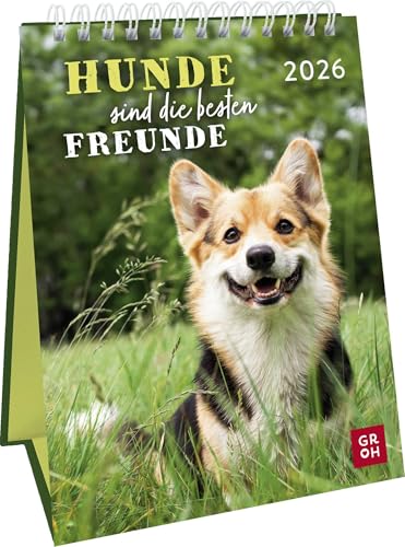 Wochenkalender 2026: Hunde sind die besten Freunde:... - Animalerie Amazon Italie à 9.95€