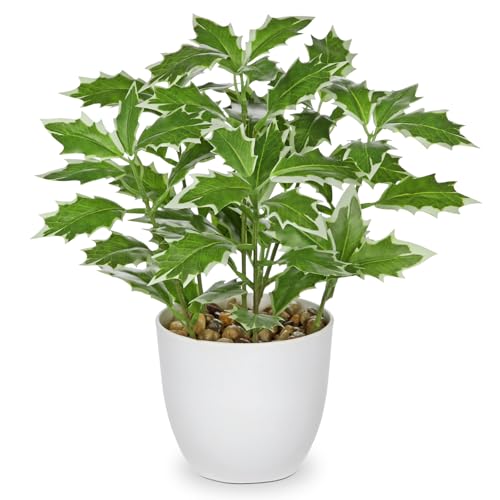 Briful Plantas artificiales pequeñas de acebo artificiales... - Garden & Outdoor Amazon Spain à 17.45€