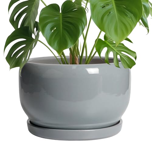 SQOWL 10 Inch Plant Pot - Ceramic Planter for Indoor... - Jardin & Extérieur en promo à 64.30€