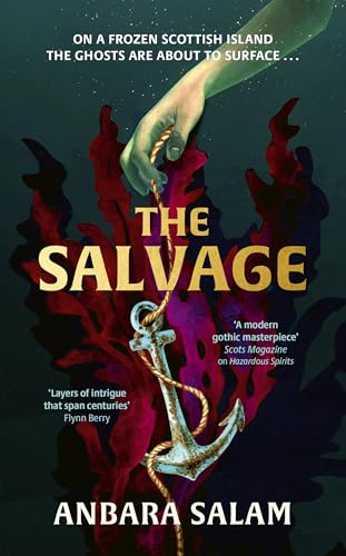 The Salvage: ‘A gothic tale with a powerful sense of place... - Bon plan à 2.99€